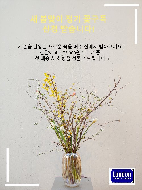 봄맞이 정기 꽃구독 (large size) 4회구독